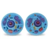Learning Resources Cross-Section Animal Cell Model - Image 4