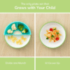 Omie Easy Scoop Plate – Piring Ramah Anak dengan Desain Anti Tumpah & Sekat Lepas Pasang, Toddler-Friendly Plate with Mess-Reducing Design & Removable Dividers - Image 3